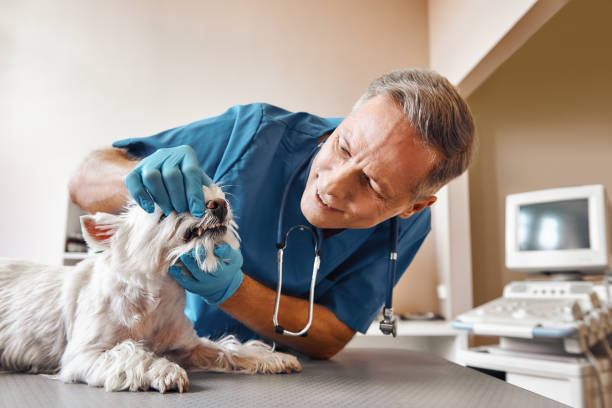 Best Emergency Tooth Extraction in Kitty Hawk, NC